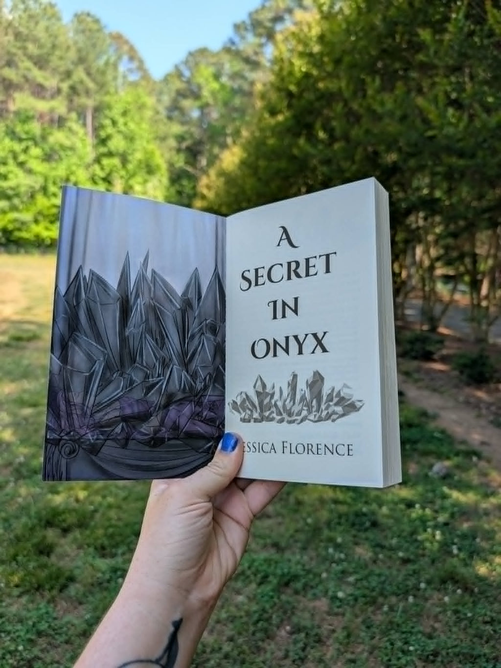 A Secret In Onyx