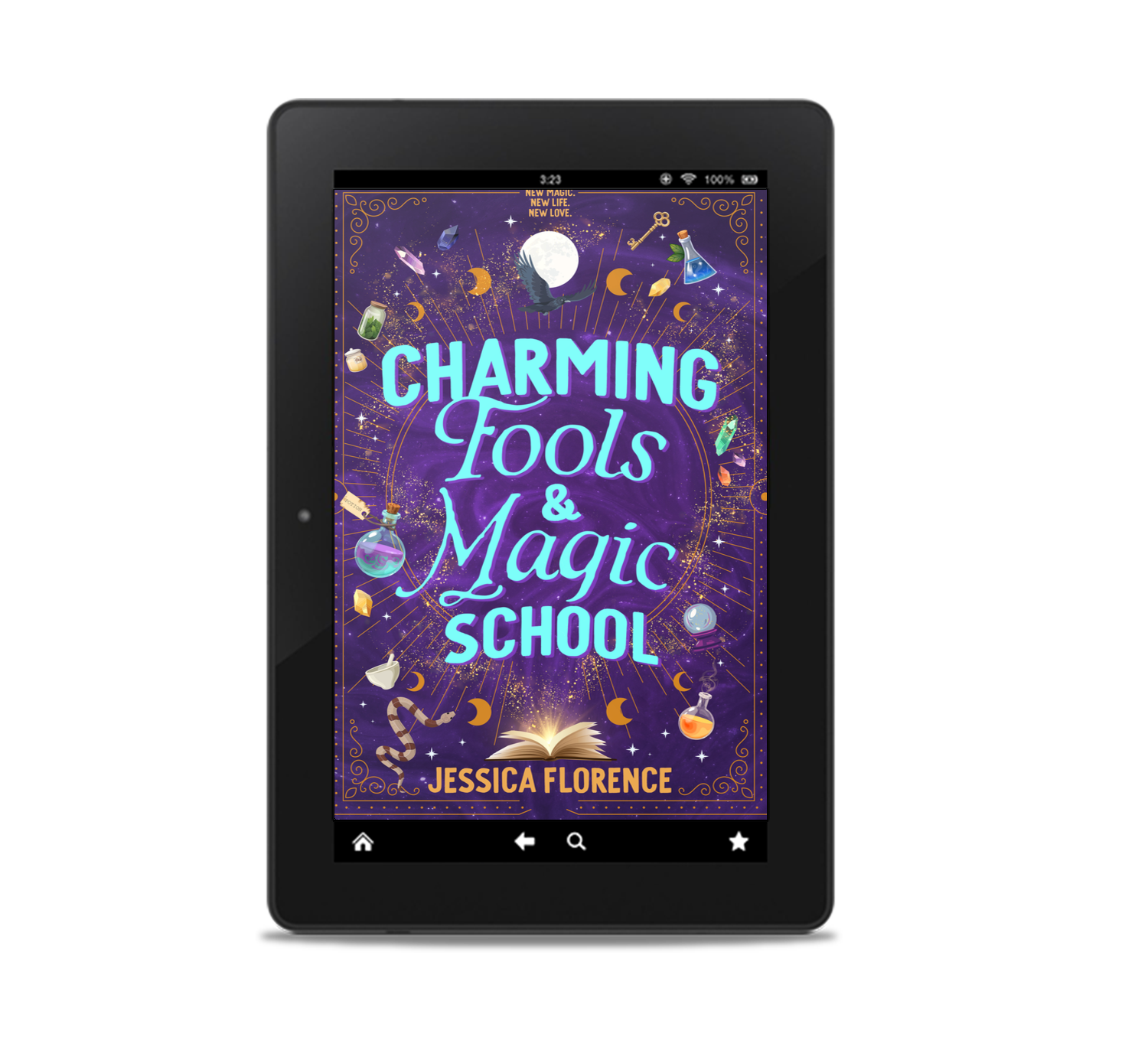 Charming Fools and Magic School Ebook